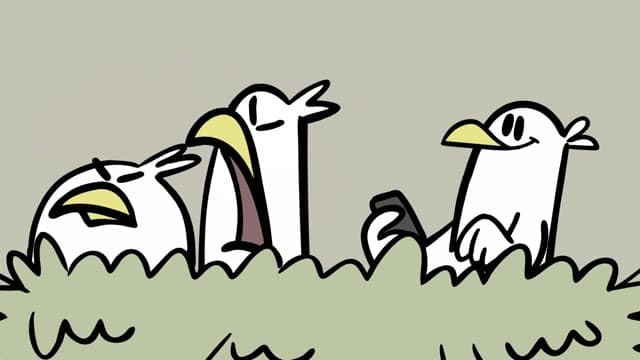 Eagle_Snapp.mp4